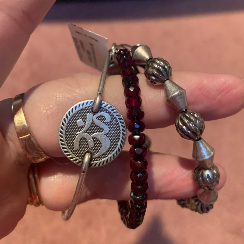 NWT ALEX AND ANI CRIMSON AND SPICE SET 3 BRACELETS - Picture 2 of 2